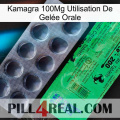Kamagra 100Mg Utilisation De Gelée Orale new04